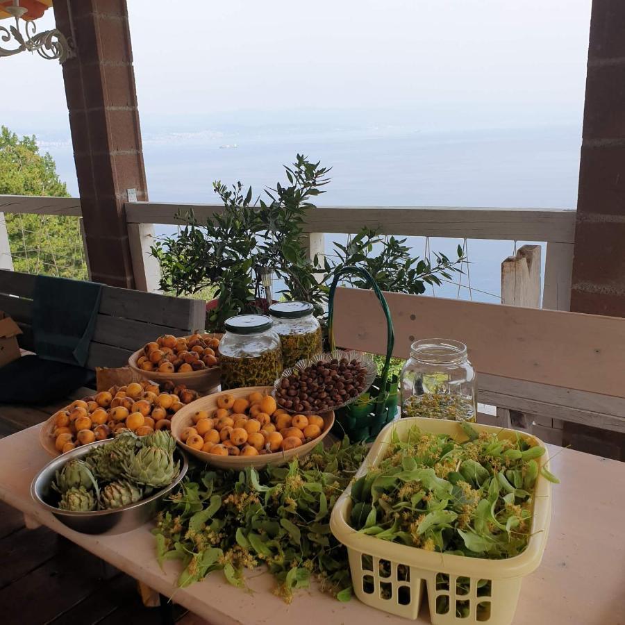 Mary'S Garden Villa Tulisevica Ngoại thất bức ảnh