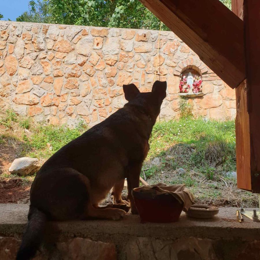Mary'S Garden Villa Tulisevica Ngoại thất bức ảnh