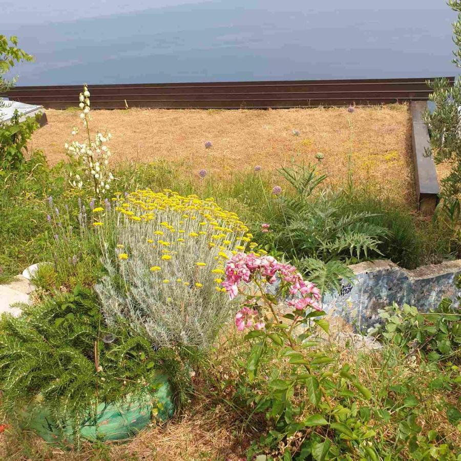 Mary'S Garden Villa Tulisevica Ngoại thất bức ảnh