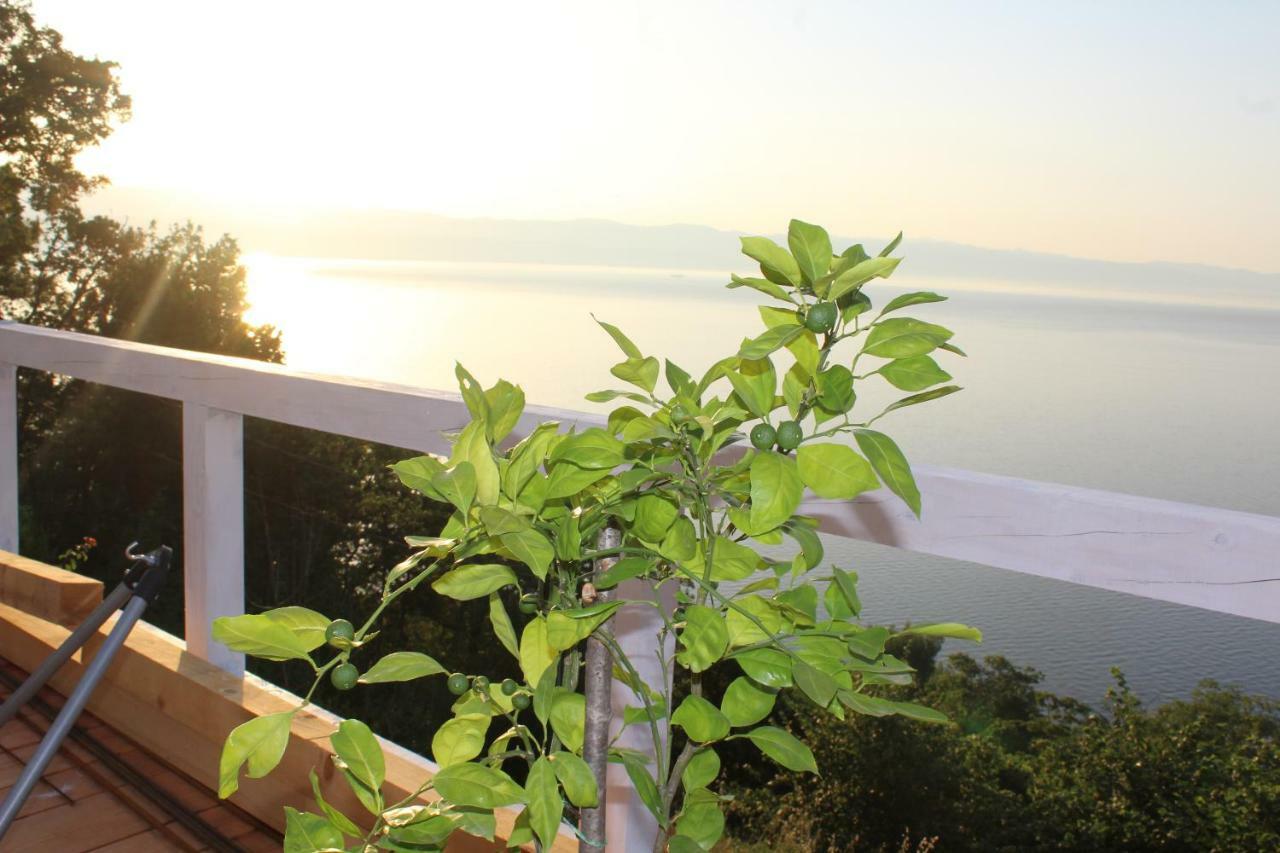 Mary'S Garden Villa Tulisevica Ngoại thất bức ảnh