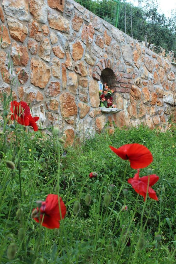 Mary'S Garden Villa Tulisevica Ngoại thất bức ảnh