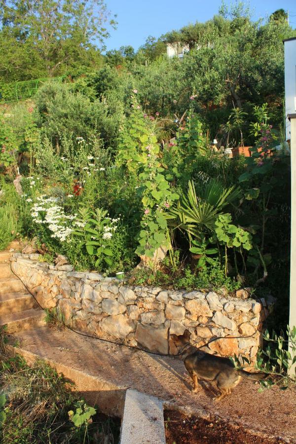 Mary'S Garden Villa Tulisevica Ngoại thất bức ảnh